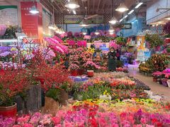 -双季花艺园艺市场(浦东店)