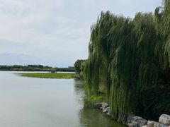 -大兴滨河森林公园