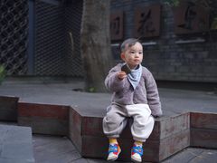 -泡桐树街