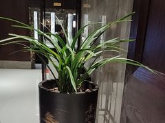 -豫满楼(郑东新区店)