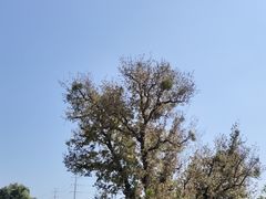 -双龙潭生态运动景区