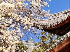 -龙华寺