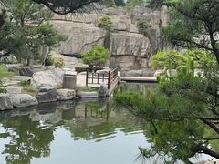 -中国唐苑