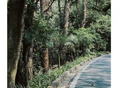 -白云山风景名胜区