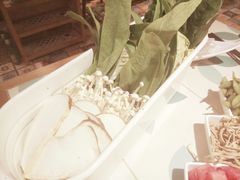 蔬菜拼盘-南城十里潮汕鲜牛火锅·鲜虾生滚粥(融汇老商埠店)