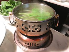 水煮鸡毛菜-初蓉丨遇见新川菜(亲贤街荣耀店)