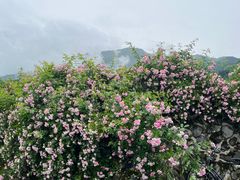 -太阳湾风景区