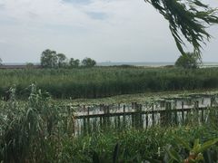 -太湖湖滨国家湿地公园-停车场