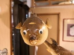 -玄品河豚(那覇國際通里之関)