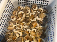 -碧海银沙海鲜餐厅(恒大海上威尼斯店)