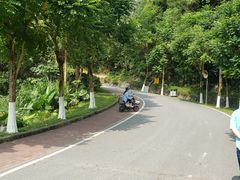 -火炉山森林公园
