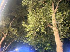 -鲁南仔·滕州炒鸡(经三路店)