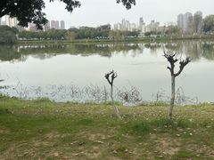 -艾溪湖湿地公园