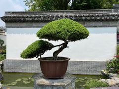 -水绘园