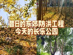 -西安市长乐公园