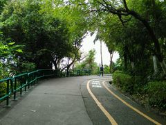 -中山公园(石岐街道)