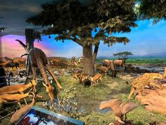 -国家自然博物馆