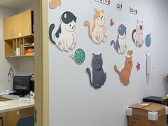 -艾贝尔宠物医院·宠保定点·超声绝育·免疫点(樱花路店)