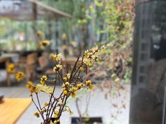 -扫雪煮茶(西村店)