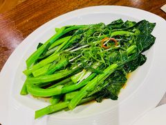-青雅中餐厅(大连金石滩绿发希尔顿度假酒店)