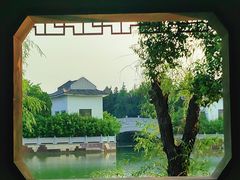 -八大山人梅湖景区