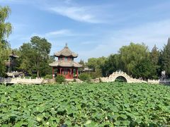 -莲池书院博物馆