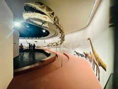 -自贡恐龙博物馆