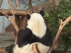-南宁市动物园