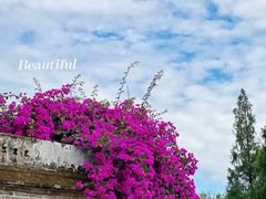 -金谷域澳洲庄园