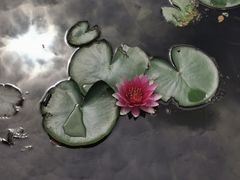 -白马涧龙池景区