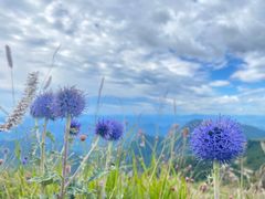 -白草畔自然风景区