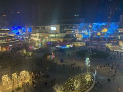 -花潮料理艺食馆(成都万象城店)