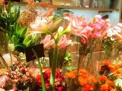 -远大购物中心(南岗店)
