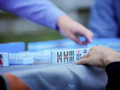 -北京群众马术培训基地