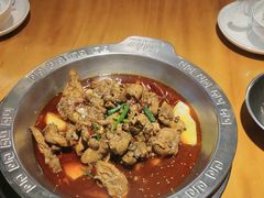 -成老灶火锅鸡(平山店)