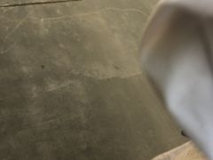 -茶百道(五山店)