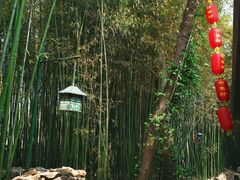 -柯老二特色炒鸡店(竹泉村店)