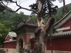 -北京上方山国家森林公园