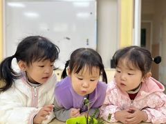 -吉的堡幼儿园(复地花屿城分园)