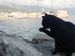 -布德瓦老城