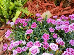 -衡山路(地铁站)