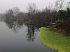 -桤木河湿地公园