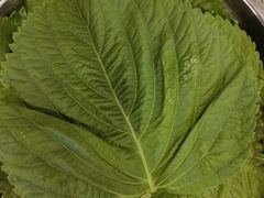-英雄故事地摊烤肉(马驹桥店)