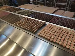 -歌斐颂巧克力小镇