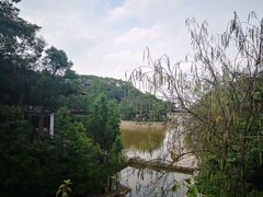 -广州市帽峰山景区
