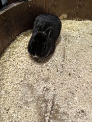 -Zoolung Zoolung动物主题公园(海信广场店)