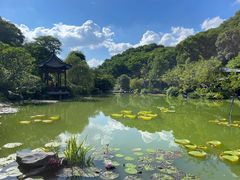 -云溪植物园