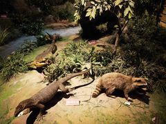 -陕西自然博物馆