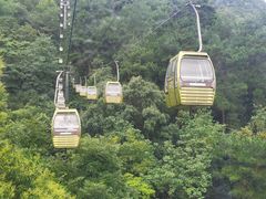 -黔灵山公园