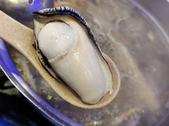 -千岛蚝高压锅生蚝·人参火锅(白云万达店)